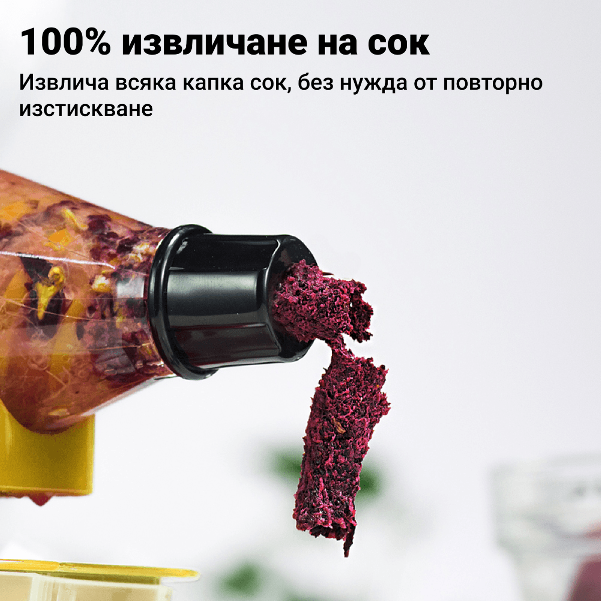 Приставка за сок и сорбе 5